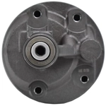 Order ATLANTIC AUTOMOTIVE ENTERPRISES - 7250N - Power Steering Pump For Your Vehicle