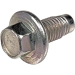 Order DORMAN/AUTOGRADE - 090-175.1 - Oil Drain Plug For Your Vehicle