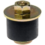 Order Oil Galley Plug by DORMAN - 570-005 For Your Vehicle