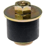 Purchase Oil Galley Plug by DORMAN/AUTOGRADE - 02600