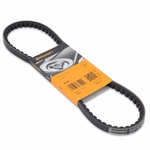 Order CONTINENTAL - 10X825 - V-Belt For Your Vehicle