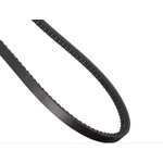 Order CONTINENTAL - 15376 - Accessory Drive Belt - Automotive V-Belt For Your Vehicle