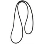 Order CONTINENTAL - 15525 - Serpentine Belt - Automotive V-Belt For Your Vehicle