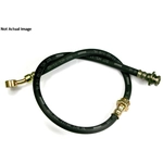 Order Rear Brake Hose by CENTRIC PARTS - 150.65491 For Your Vehicle