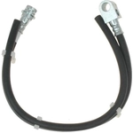 Order Rear Brake Hose by RAYBESTOS - BH380385 For Your Vehicle