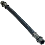 Purchase Rear Brake Hose by RAYBESTOS - BH380452