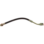 Purchase Rear Brake Hose by RAYBESTOS - BH381384