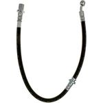 Purchase Rear Brake Hose by RAYBESTOS - BH382867