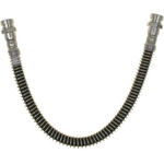 Purchase Rear Brake Hose by RAYBESTOS - BH383307