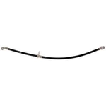 Purchase Rear Brake Hose by RAYBESTOS - BH383816