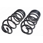 Order LESJOFORS - 4412806 - Rear Coil Springs For Your Vehicle