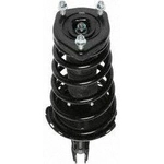 Order Rear Complete Strut Assembly by PRT - 810409 For Your Vehicle