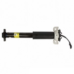 Order MOTORCRAFT - ASH85889 - Strut For Your Vehicle