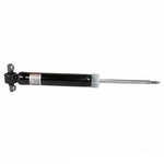 Order MOTORCRAFT - ASH86031 - Strut For Your Vehicle