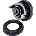 Order Rear Strut Mount by DEA/TTPA - 4713160 For Your Vehicle