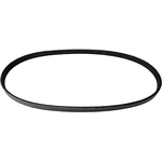 Order CONTINENTAL - 4030317S - Serpentine Belt - Automotive V-Belt For Your Vehicle