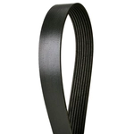 Order CONTINENTAL - 4040275 - Serpentine Belt - Automotive V-Belt For Your Vehicle