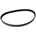 Order CONTINENTAL - 4040370 - Serpentine Belt - Automotive V-Belt For Your Vehicle