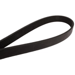 Order CONTINENTAL - 4040390 - Serpentine Belt - Automotive V-Belt For Your Vehicle