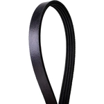 Order CONTINENTAL - 4040430 - Serpentine Belt - Automotive V-Belt For Your Vehicle