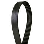 Order CONTINENTAL - 4040465 -  Serpentine Belt - Automotive V-Belt For Your Vehicle