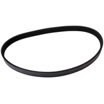 Order CONTINENTAL - 4050435 - Serpentine Belt - Automotive V-Belt For Your Vehicle