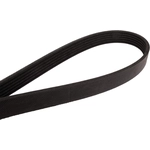 Order CONTINENTAL - 4060370 - Serpentine Belt - Automotive V-Belt For Your Vehicle