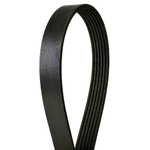 Order CONTINENTAL - 4060382 - Serpentine Belt - Automotive V-Belt For Your Vehicle