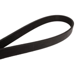 Order CONTINENTAL - 4060462 - Serpentine Belt - Automotive V-Belt For Your Vehicle