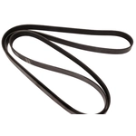 Order CONTINENTAL - 4060720 - Serpentine Belt - Automotive V-Belt For Your Vehicle