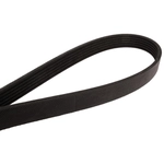 Order CONTINENTAL - 4060763 - Serpentine Belt - Automotive V- Belt For Your Vehicle