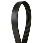 Order CONTINENTAL - 4060783 - Serpentine Belt - Automotive V-Belt For Your Vehicle