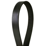 Order CONTINENTAL - 4060922 - Serpentine Belt - Automotive V-Belt For Your Vehicle