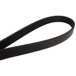 Order CONTINENTAL - 4061032 - Serpentine Belt - Automotive V-Belt For Your Vehicle