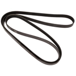 Order CONTINENTAL - 4061187 - Serpentine Belt - Automotive V-Belt For Your Vehicle