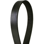 Order CONTINENTAL - 4061280 - Serpentine Belt - Automotive V-Belt For Your Vehicle