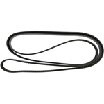 Order CONTINENTAL - 4070677 - Serpentine Belt - Automotive V-Belt For Your Vehicle