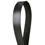 Order CONTINENTAL - 4081261 - Serpentine Belt - Automotive V-Belt For Your Vehicle