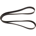 Order CONTINENTAL - 4081306 - Serpentine Belt - Automotive V-Belt For Your Vehicle