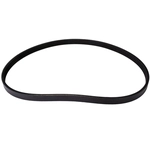 Order CONTINENTAL - 4PK1344 - Serpentine Belt For Your Vehicle