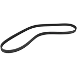 Order CONTINENTAL - 4PK875 - Serpentine Belt For Your Vehicle