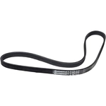 Order CONTINENTAL - 4PK910 - Serpentine Belt For Your Vehicle