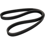 Order CONTINENTAL - 6DK1825 - Serpentine Belt For Your Vehicle