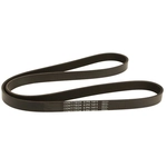 Order CONTINENTAL - 6K1411 - Serpentine Belt For Your Vehicle