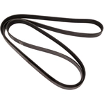 Order CONTINENTAL - 6K1885 - Conti-V Multirib™ V-Belt For Your Vehicle