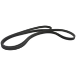 Order CONTINENTAL - 7DK2880 - Serpentine Belt For Your Vehicle