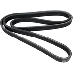 Order CONTINENTAL - 7DPK2074 - Accessory Drive Belt For Your Vehicle