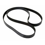 Order CONTINENTAL - 7PK1035 - Serpentine Belt For Your Vehicle