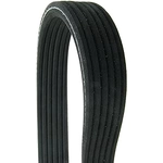 Order CONTINENTAL - D4060956 - Serpentine Belt - Automotive V-Belt For Your Vehicle