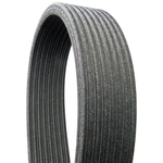 Order CONTINENTAL - D4081254 - Serpentine Belt - Automotive V-Belt For Your Vehicle